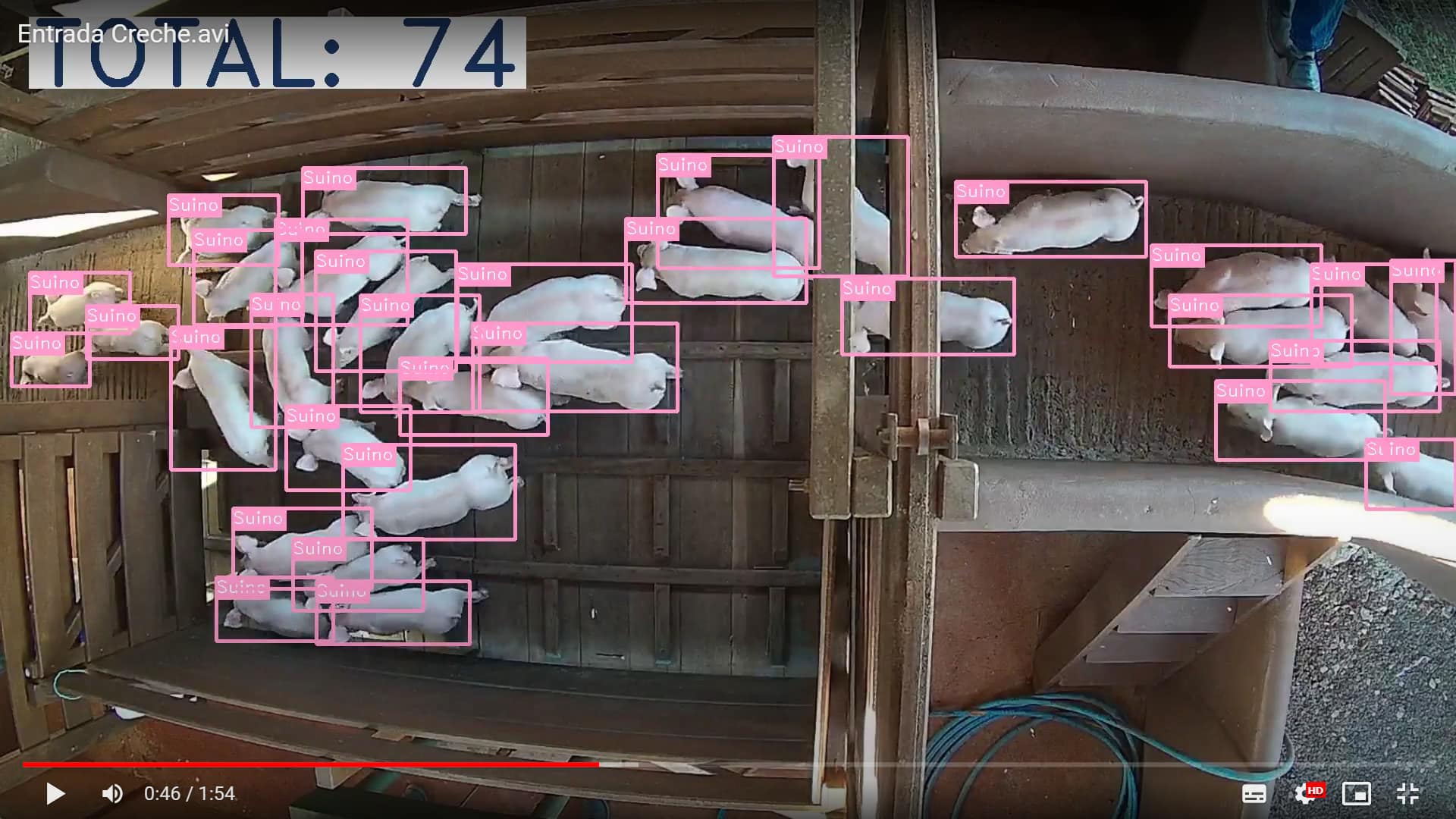 Detecção automática de suínos pela IA da Kindra